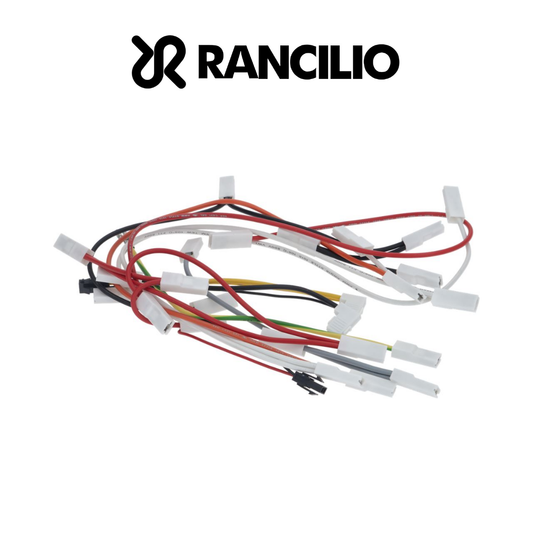 Rancilio 10110897 Wiring Silvia M
