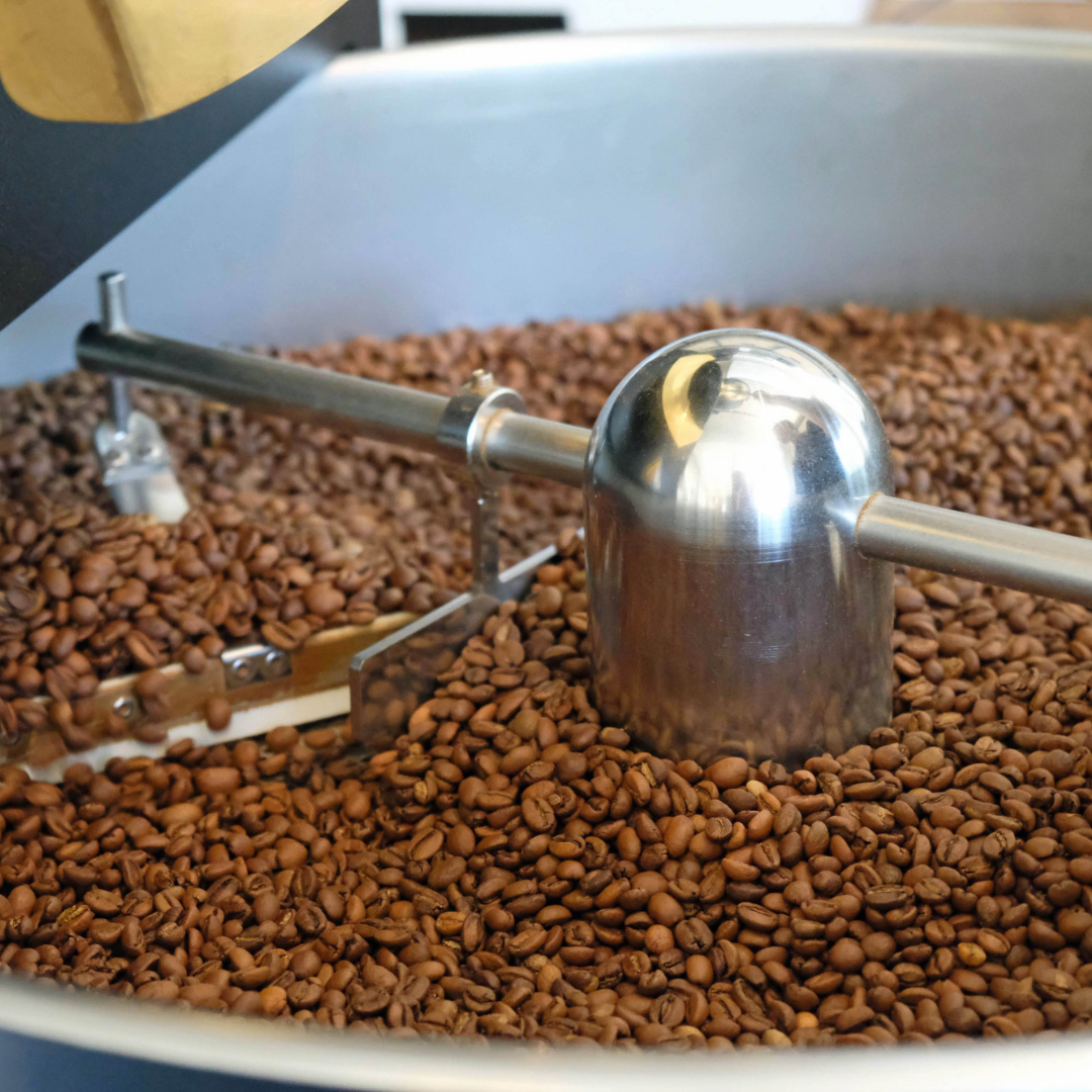 Watch and Puck - Perk Me Up Coffee Bean, 250g, Brazil Origin, 100% Arabica, Whole Beans Only, Fresh Locally Roasted, Suitable for Espresso, Pourover